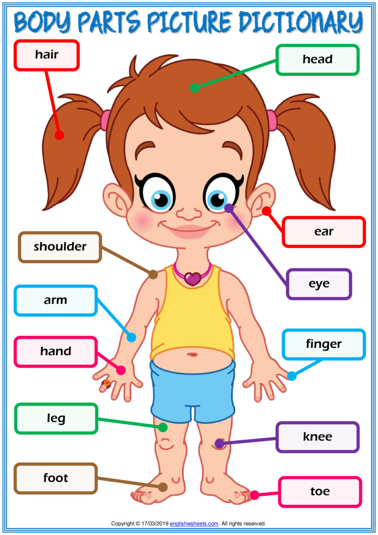 my-body-parts-esl-worksheet-for-kids-english-for-teaching-learning